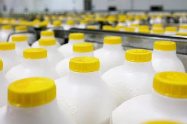 Arla Foods predicts milk price hike as global shortages loom, impacting Cravendale and other brands